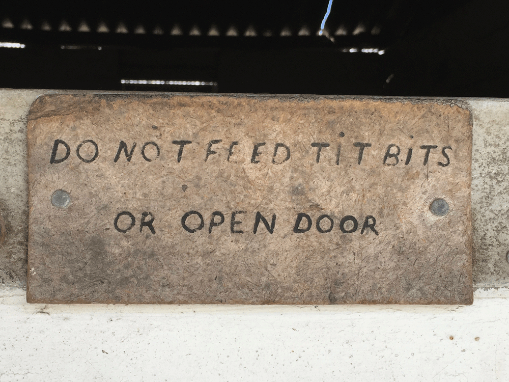 Hartland Stud - stables sign.jpg
