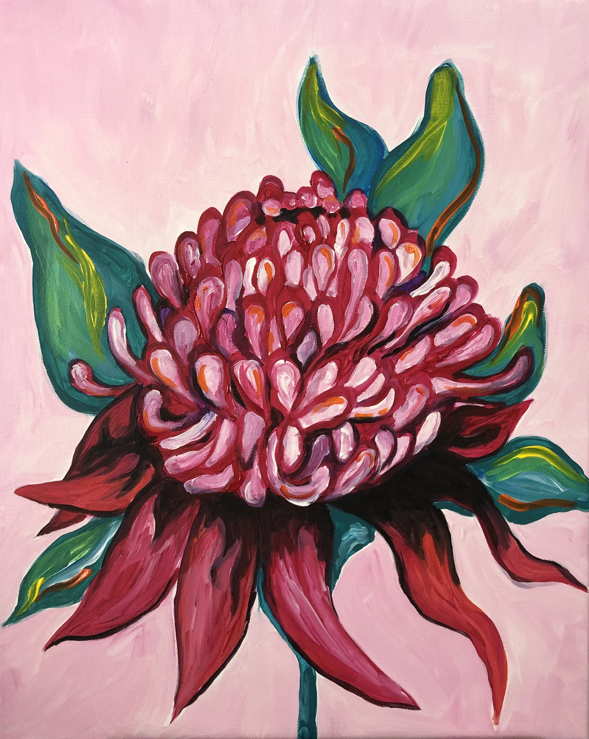 Solitary Waratah.JPG