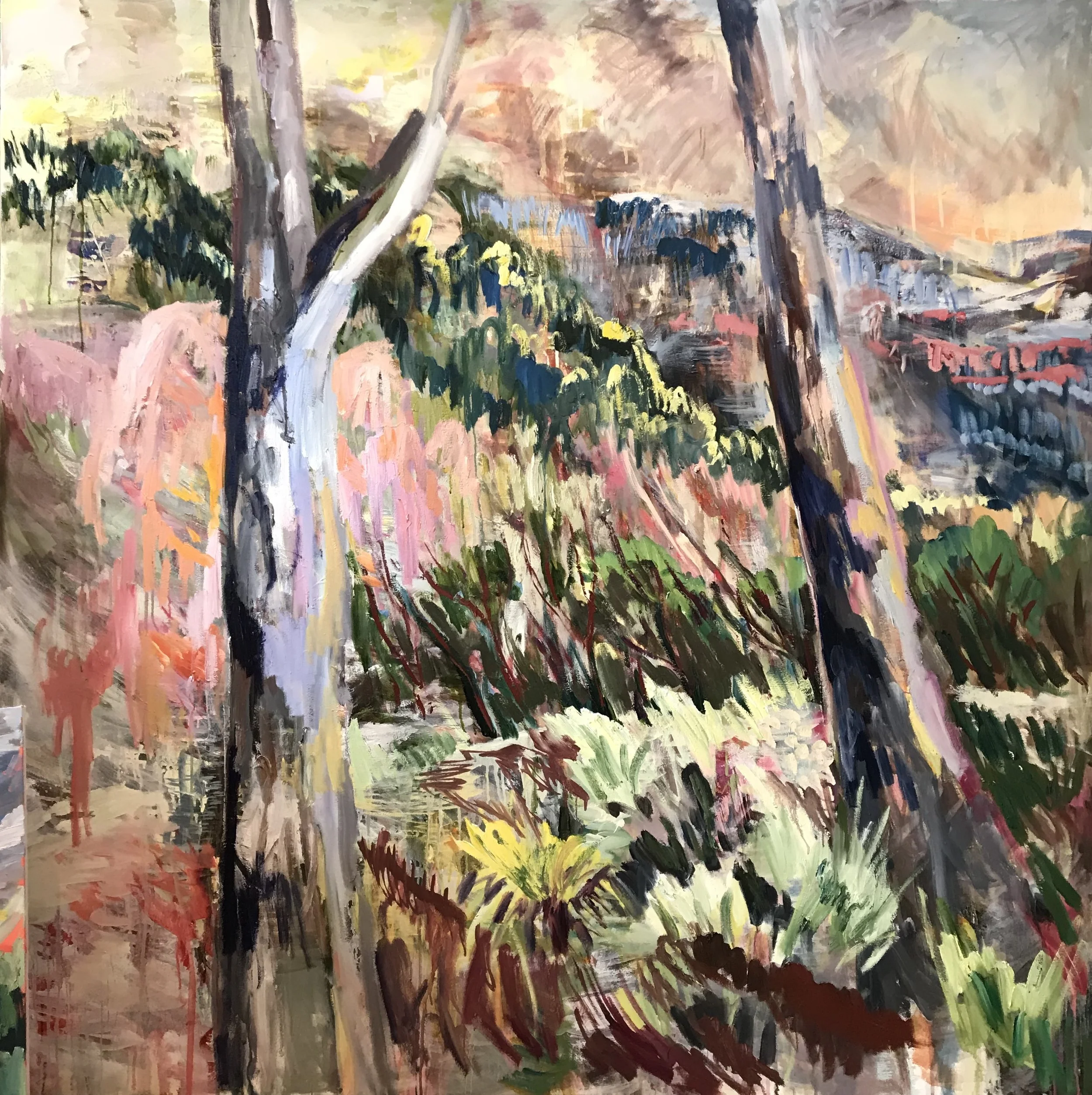 Katoomba Dreaming by Rachel Hannan