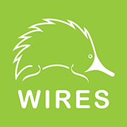 wires.png