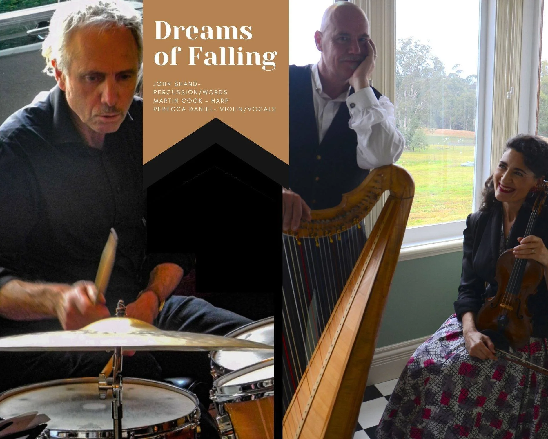 Dreams of Falling.jpg