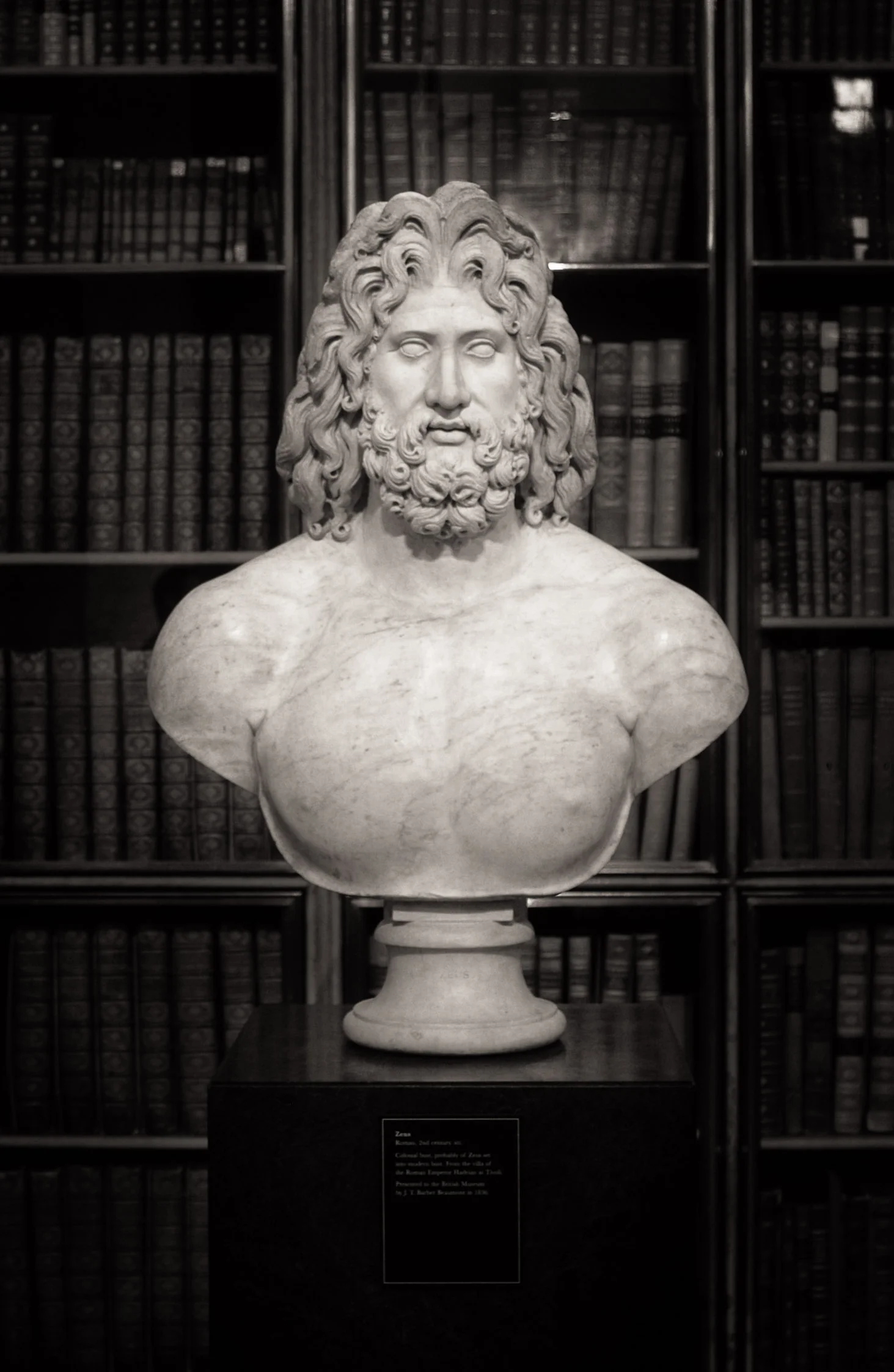 Zeus97.jpg