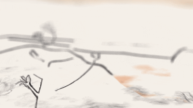 foxsake_gif_02_v01.gif