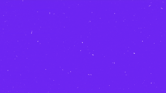 NFS_GIF_04_V01.GIF