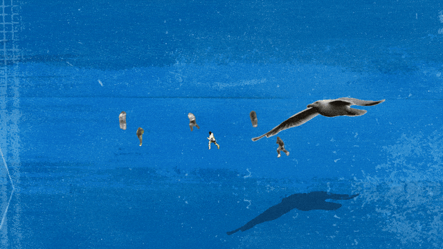 BRIGHTON_GIF_01_V01.GIF