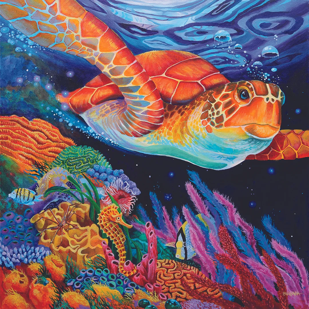 Sea Turtle 02 low.jpg