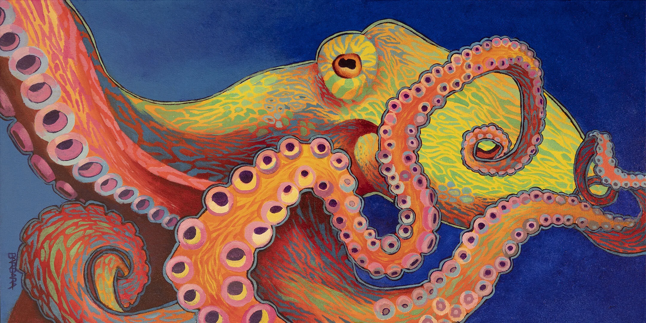 C.OctopusLOW15x30.jpg
