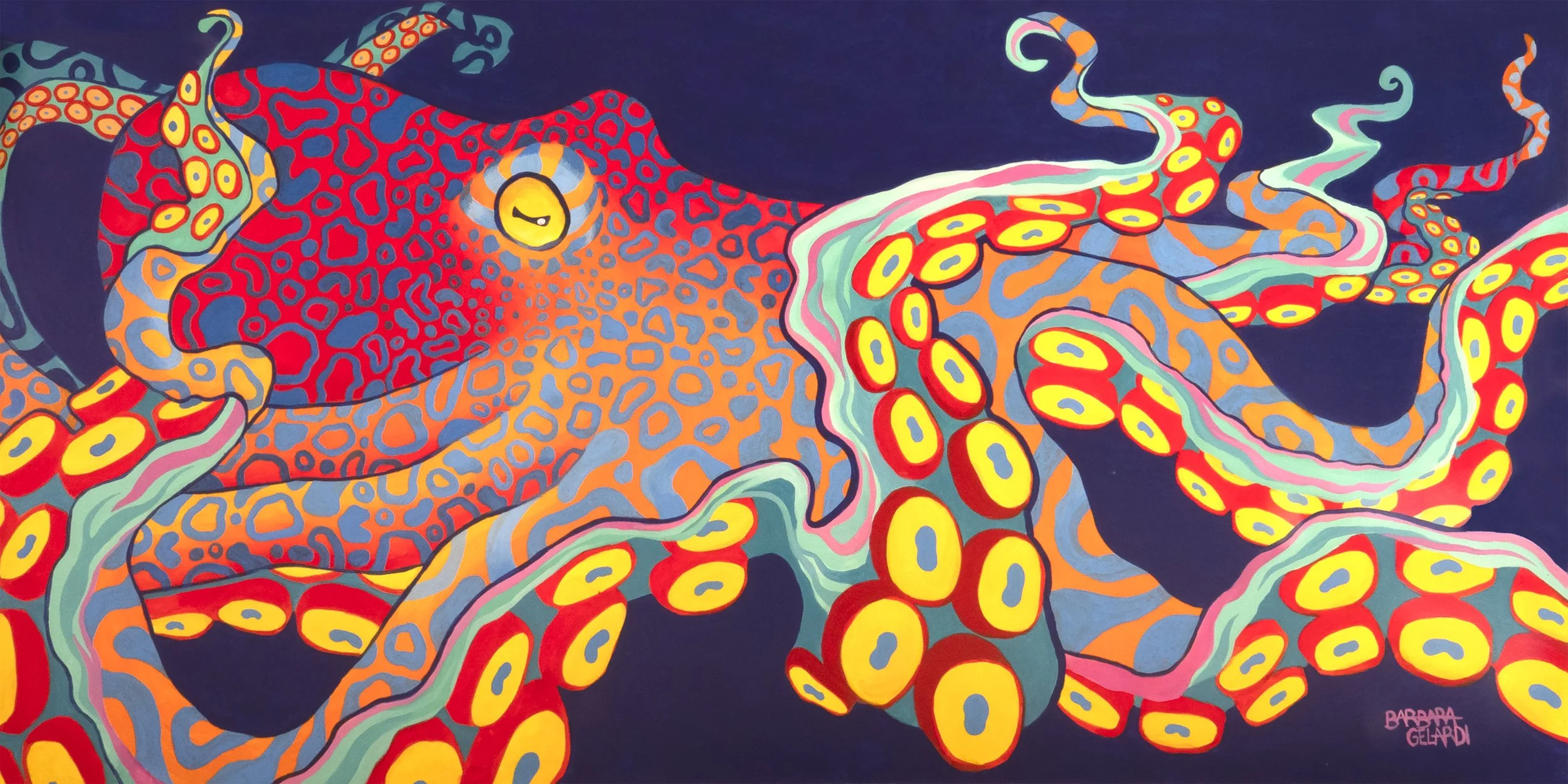 SC.Octo15x30.jpg