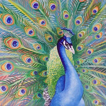 Peacock24x24 low.jpg