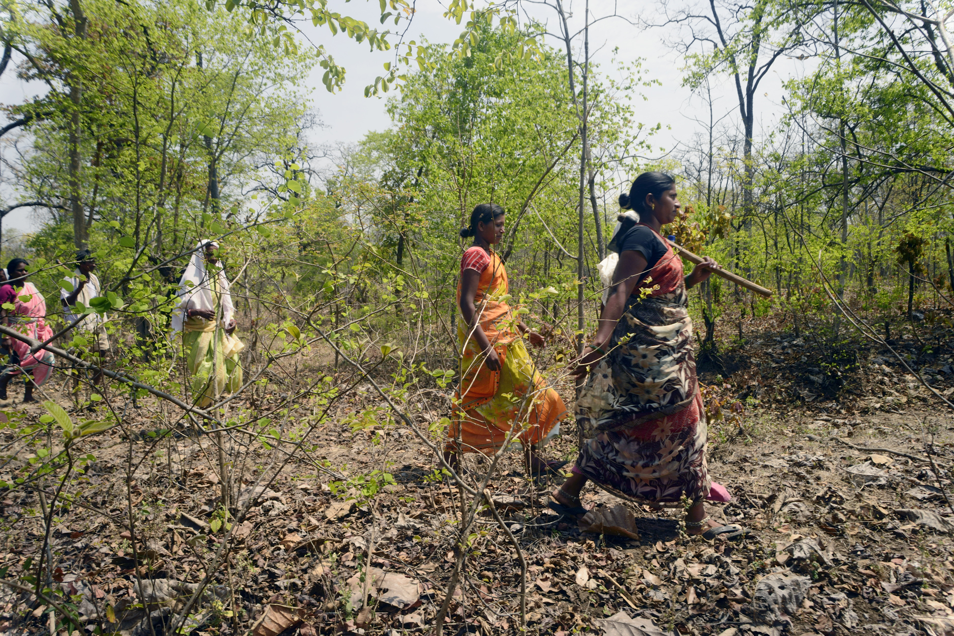   A village patrol unit patrols the forest.   