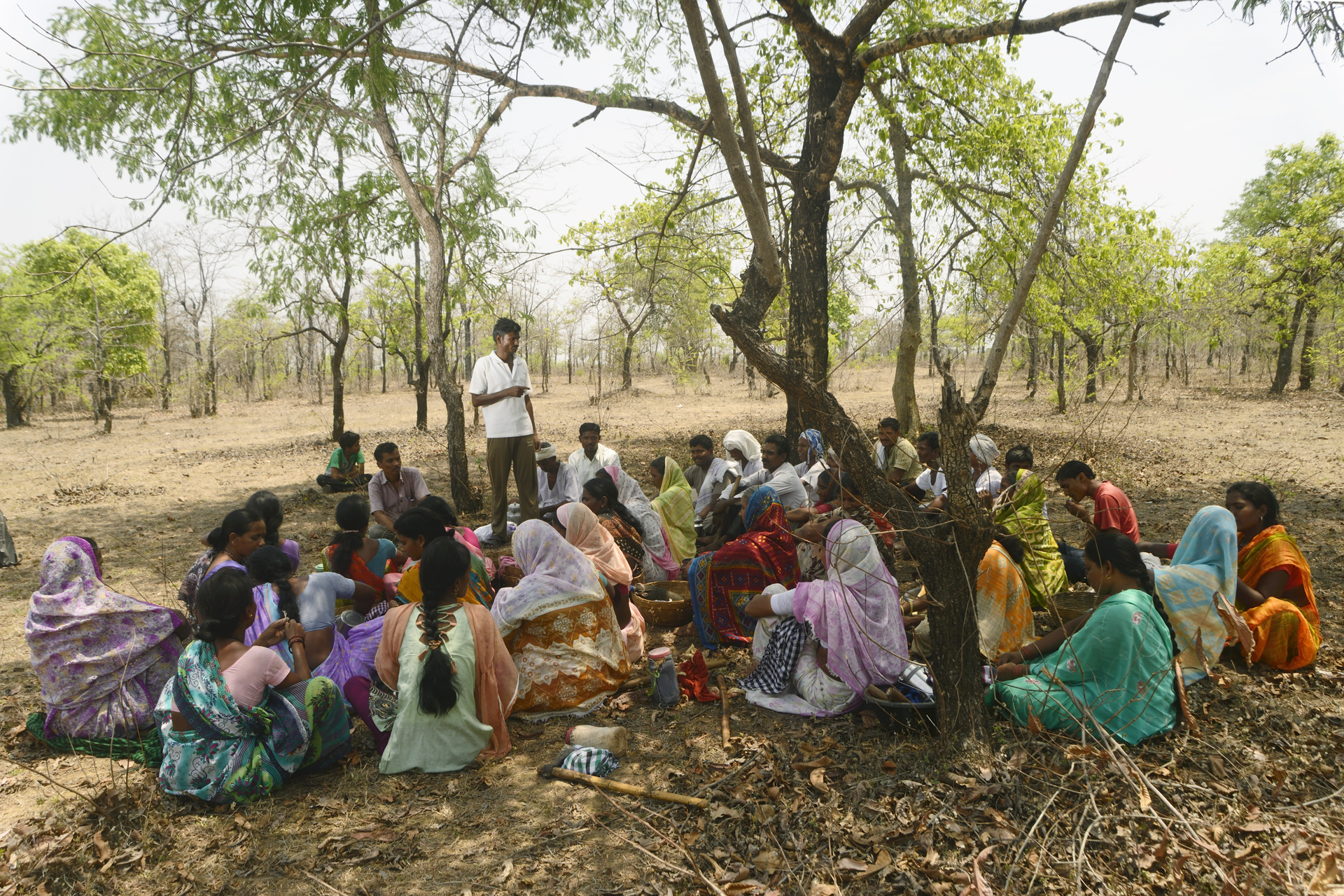  A gram panchayat meeting in progress. Villagers plan their day's action and roles in forest management including cleaning the area, patrolling, marking the trees and enlisting them in the panchayat records roster. 