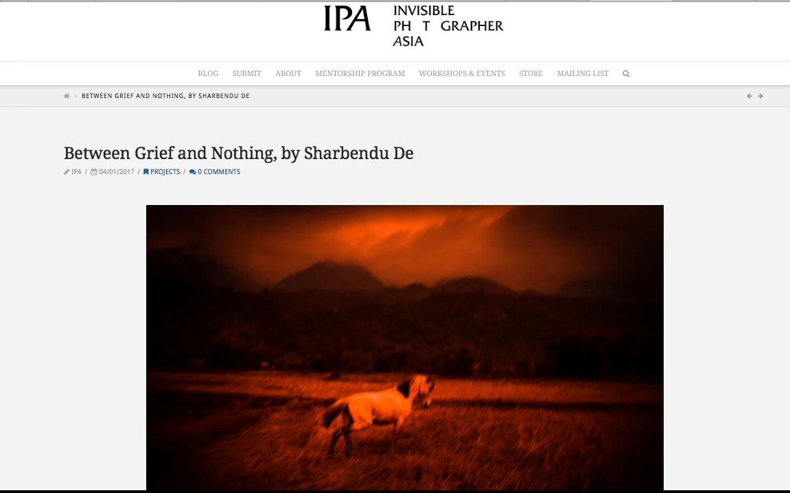 IPA_De_portfolio_screenshot2017-2.jpg