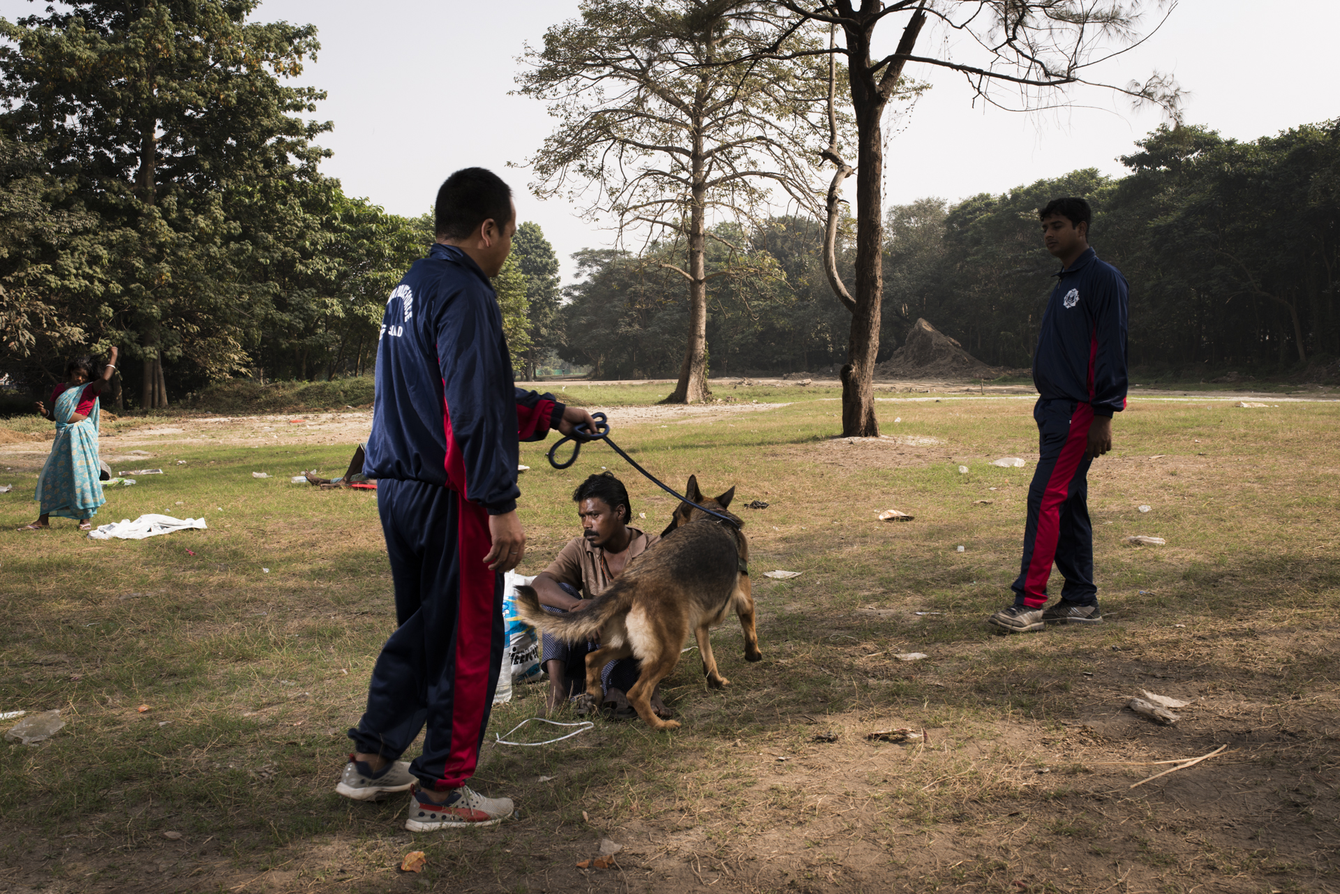 De_IN_Kol_Dog10122015-5444.jpg