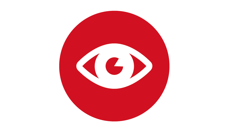 Vision_ny.png