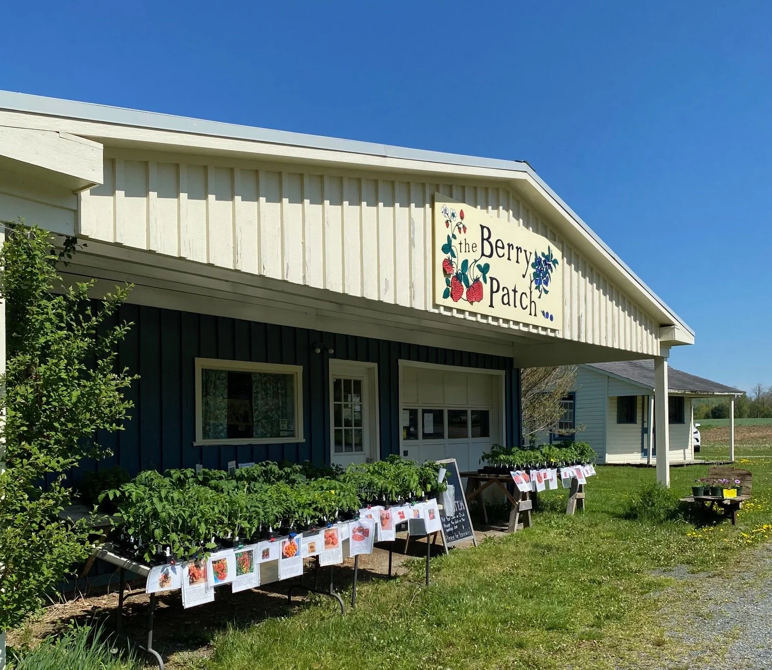 Honor system 2024.jpg