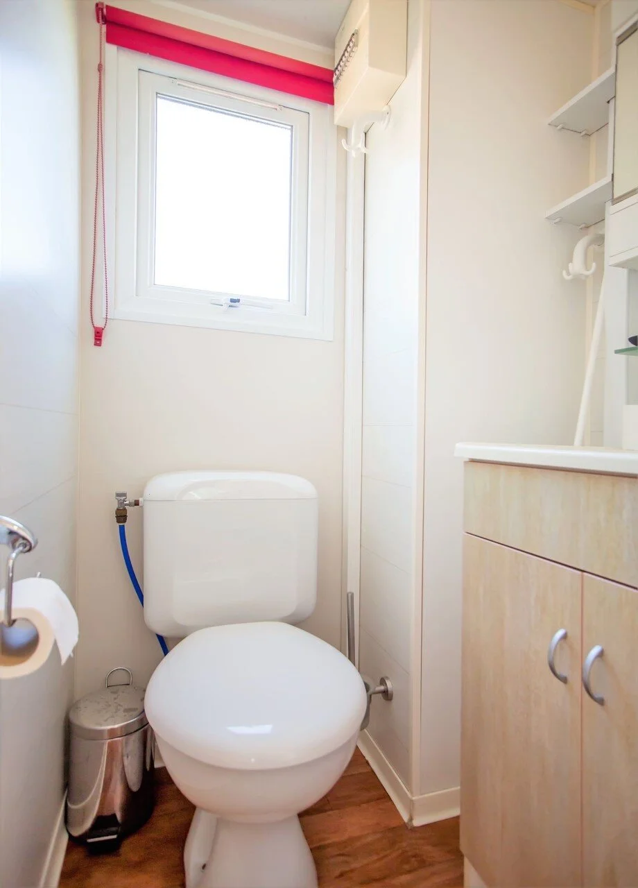 Dtoilet.jpg