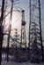 Drilling Rig