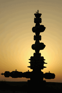 Wellhead Image