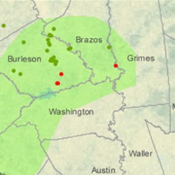 Brazos County Eagle Ford Shale Map