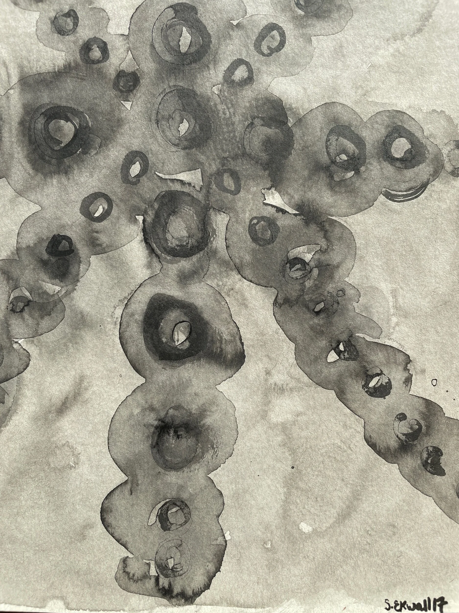 68A49271-2E95-401E-84C9-47894DAEDE49