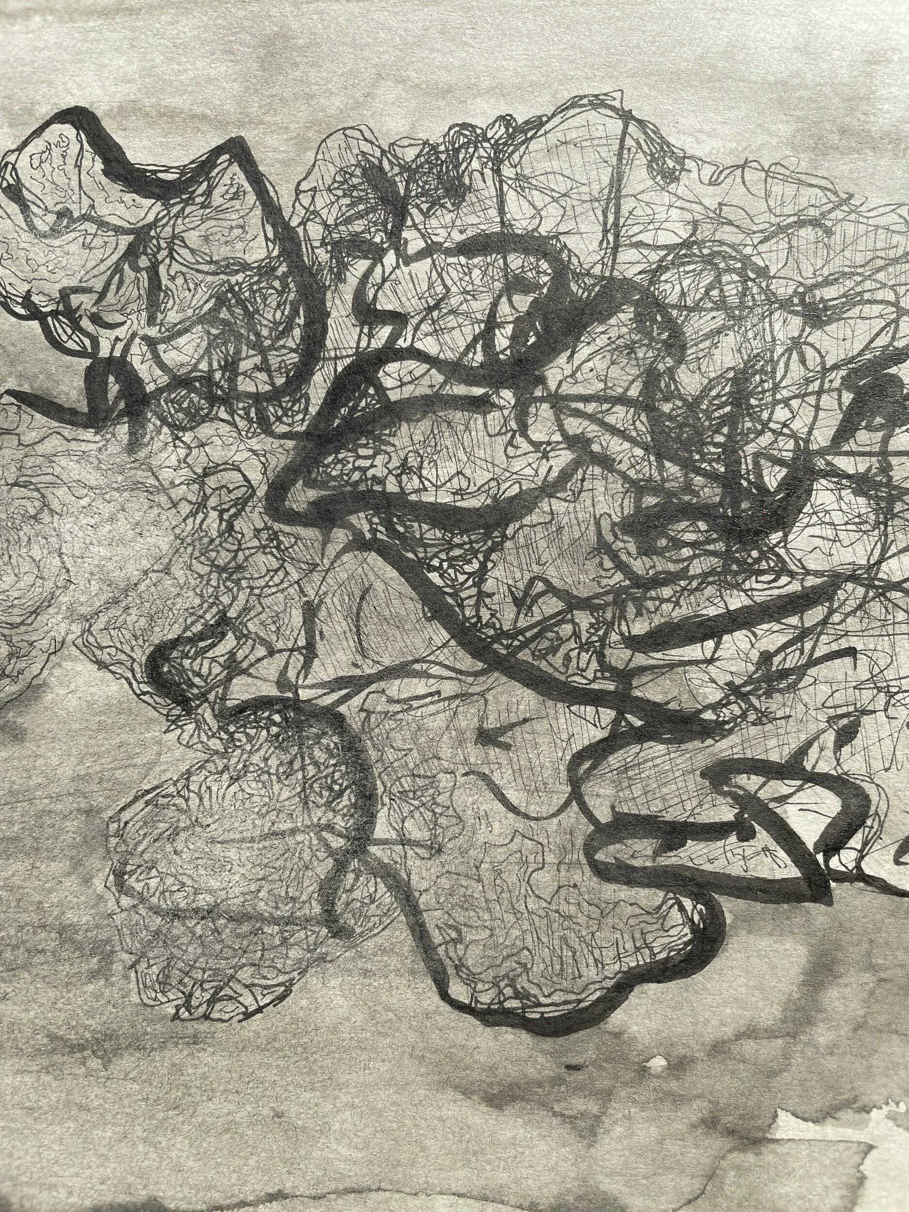 6A8C032A-9FF8-45DB-90D3-EC2526B16805