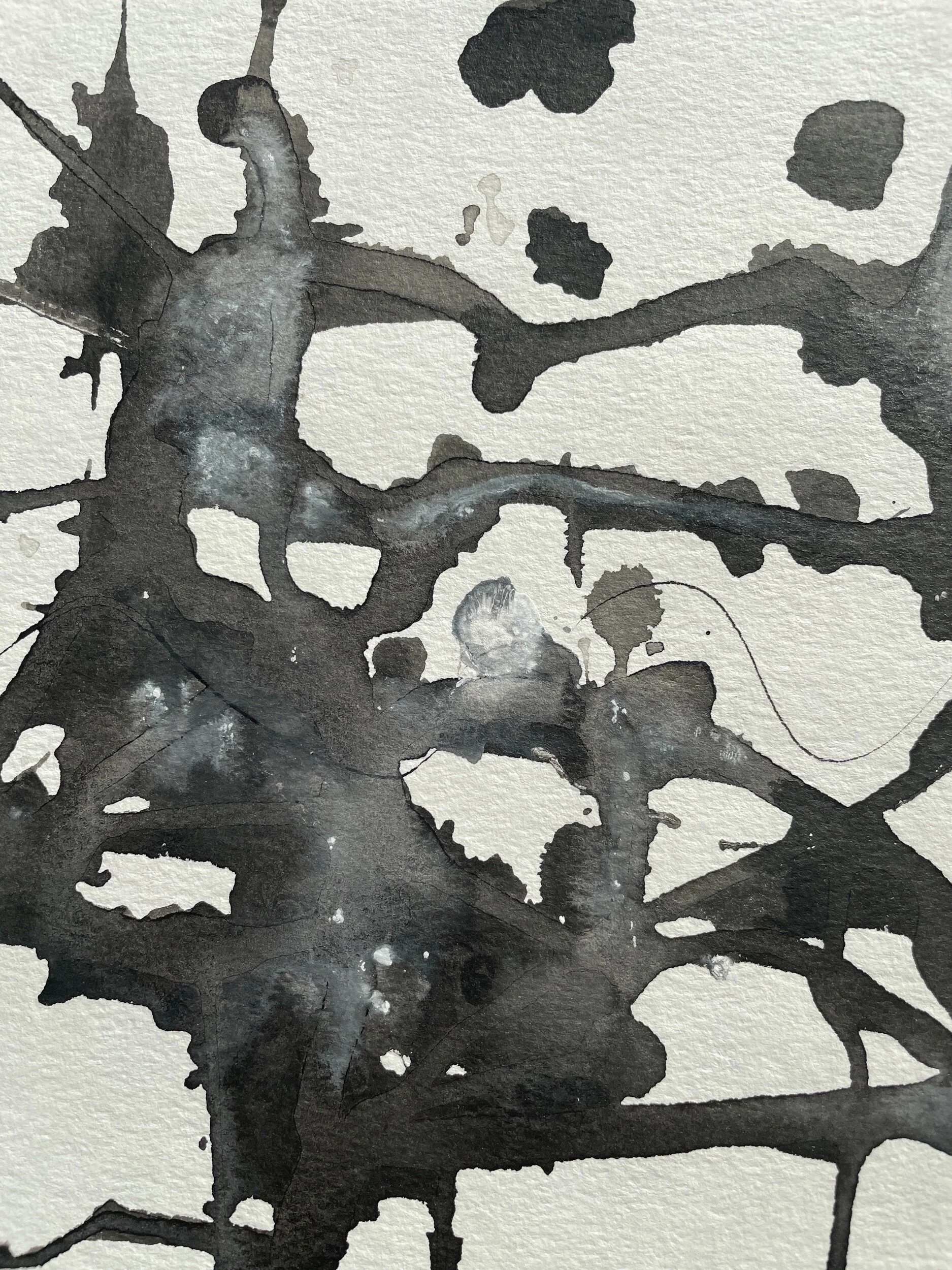 F4DB2204-EEC6-4AD0-B22D-FA7C54614944