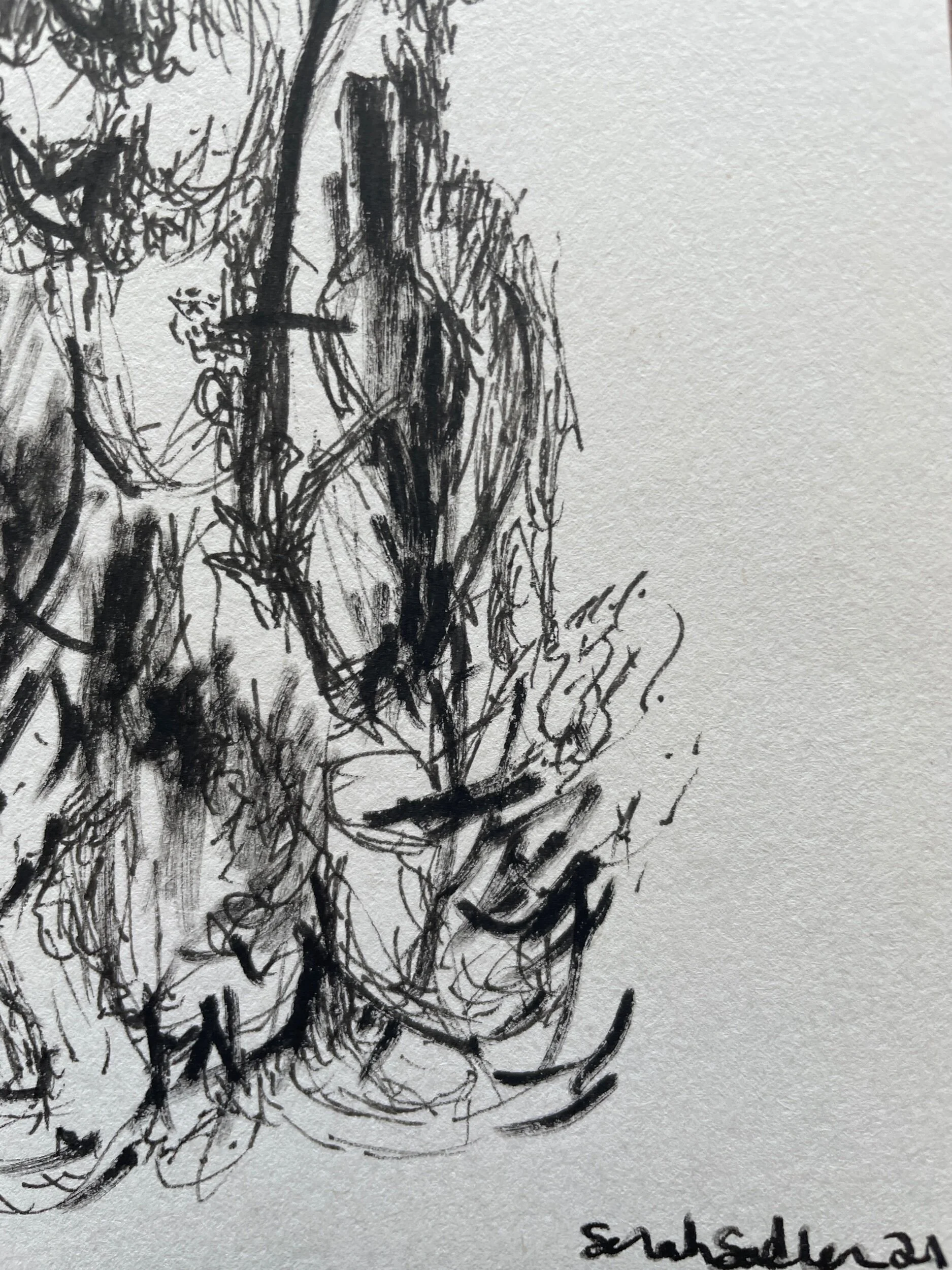 55CAB62A-744E-4B15-8F53-A4C4191805BD