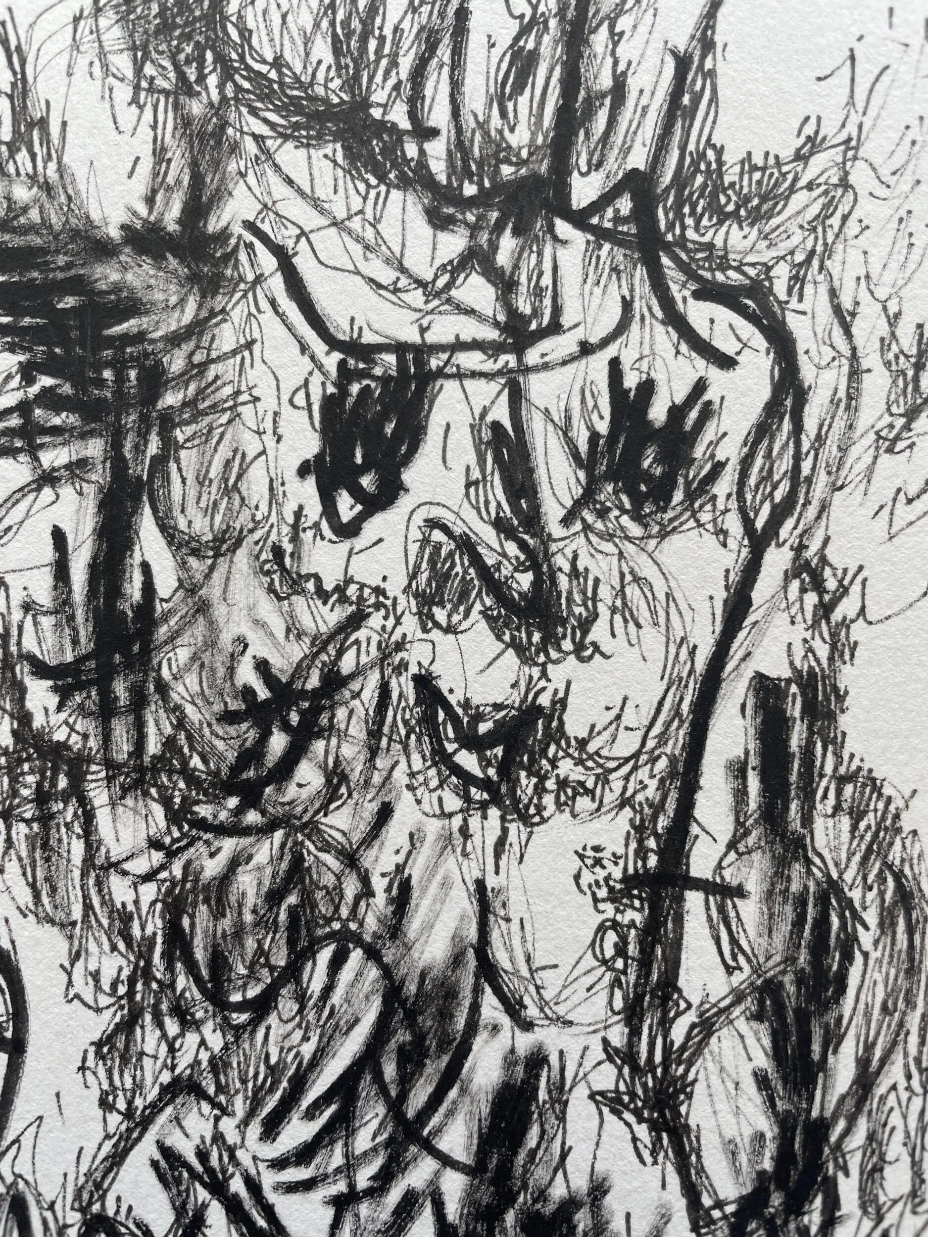 146053E4-7C88-4379-9A25-01C72A79C89E