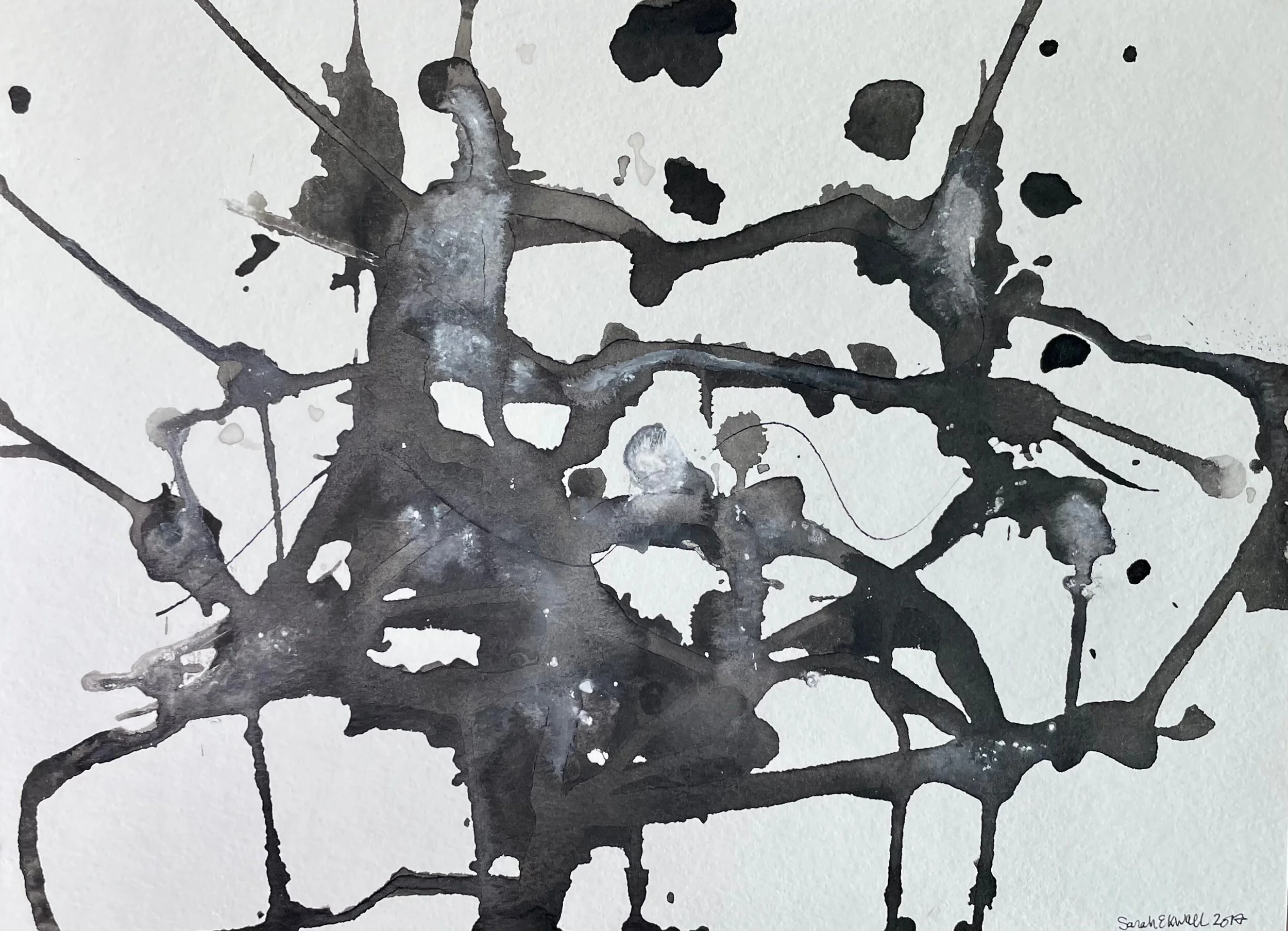 42ABCE03-01D9-4D6D-9DE1-06F2ACAC7622