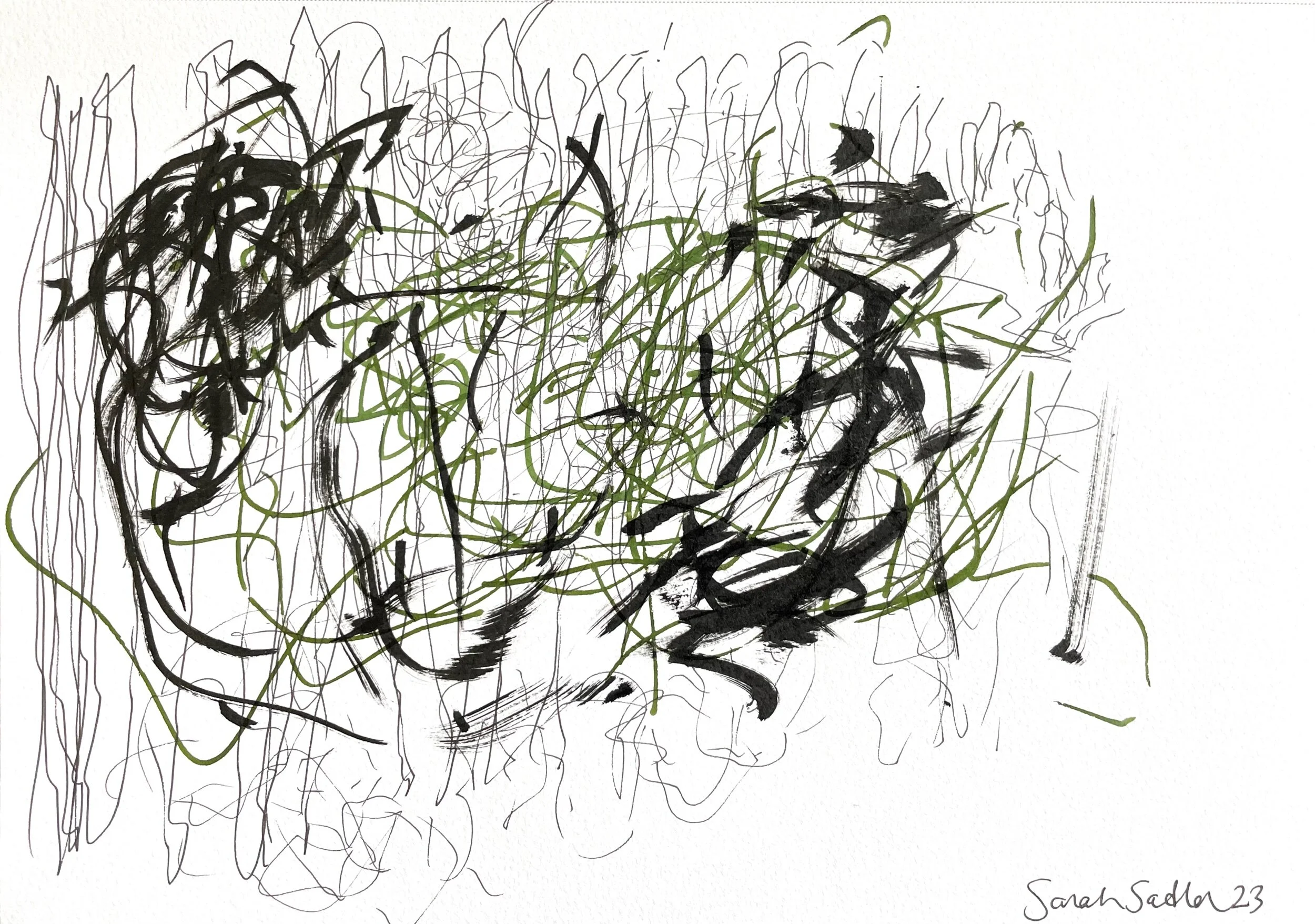 F20C5587-D3F1-4E65-A90E-1CF7DCDF5076