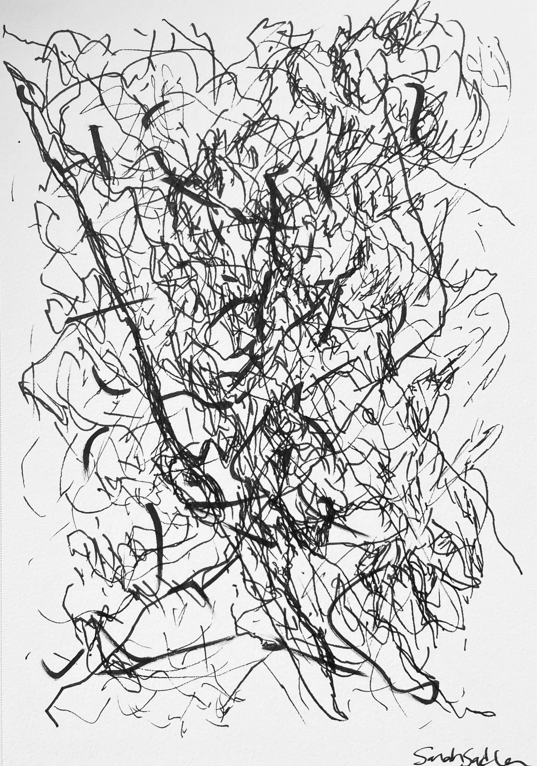 F339CB80-9DFC-42EC-9F21-2424C2105A25