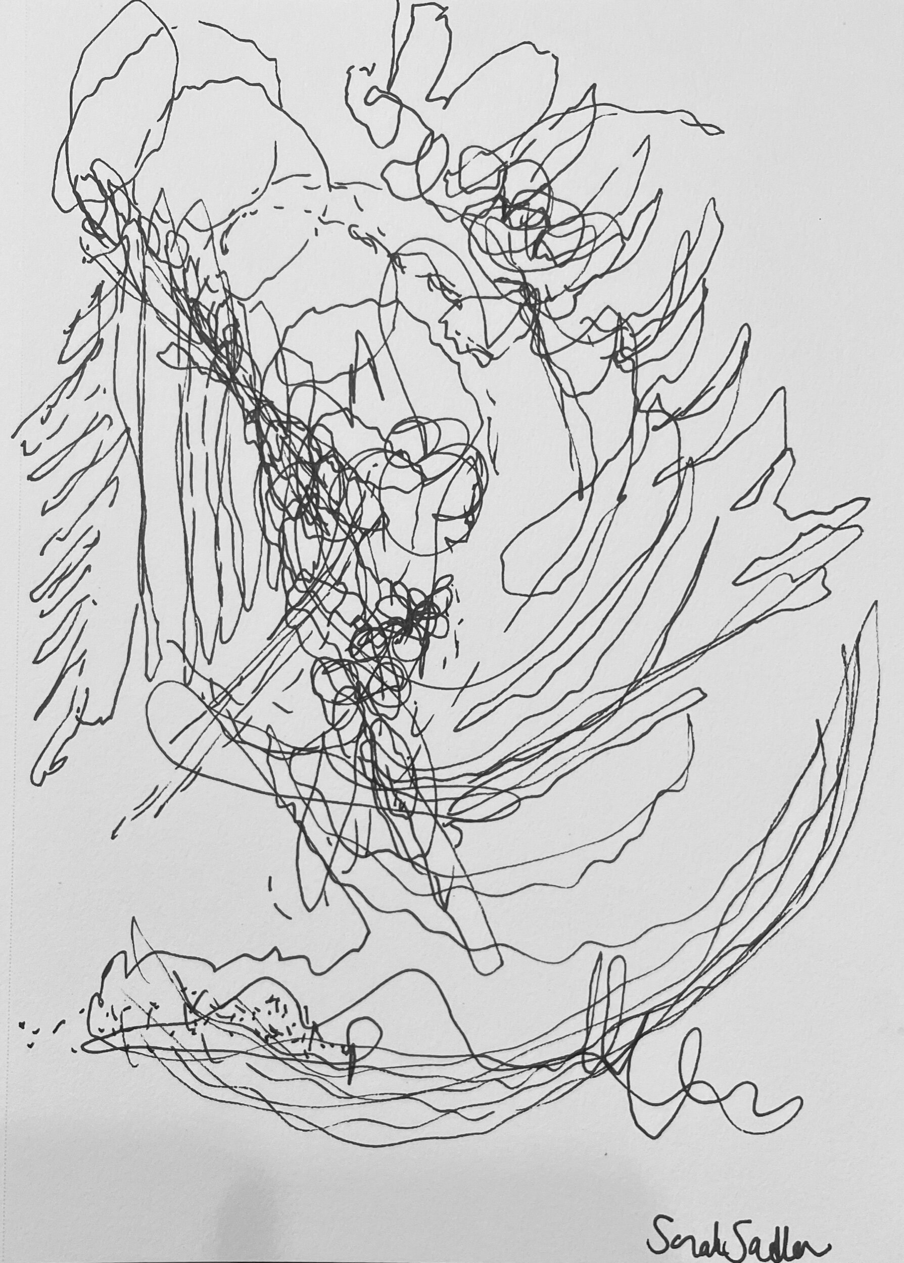 E0D39021-F75F-4F38-BAF8-A307F5274FDC