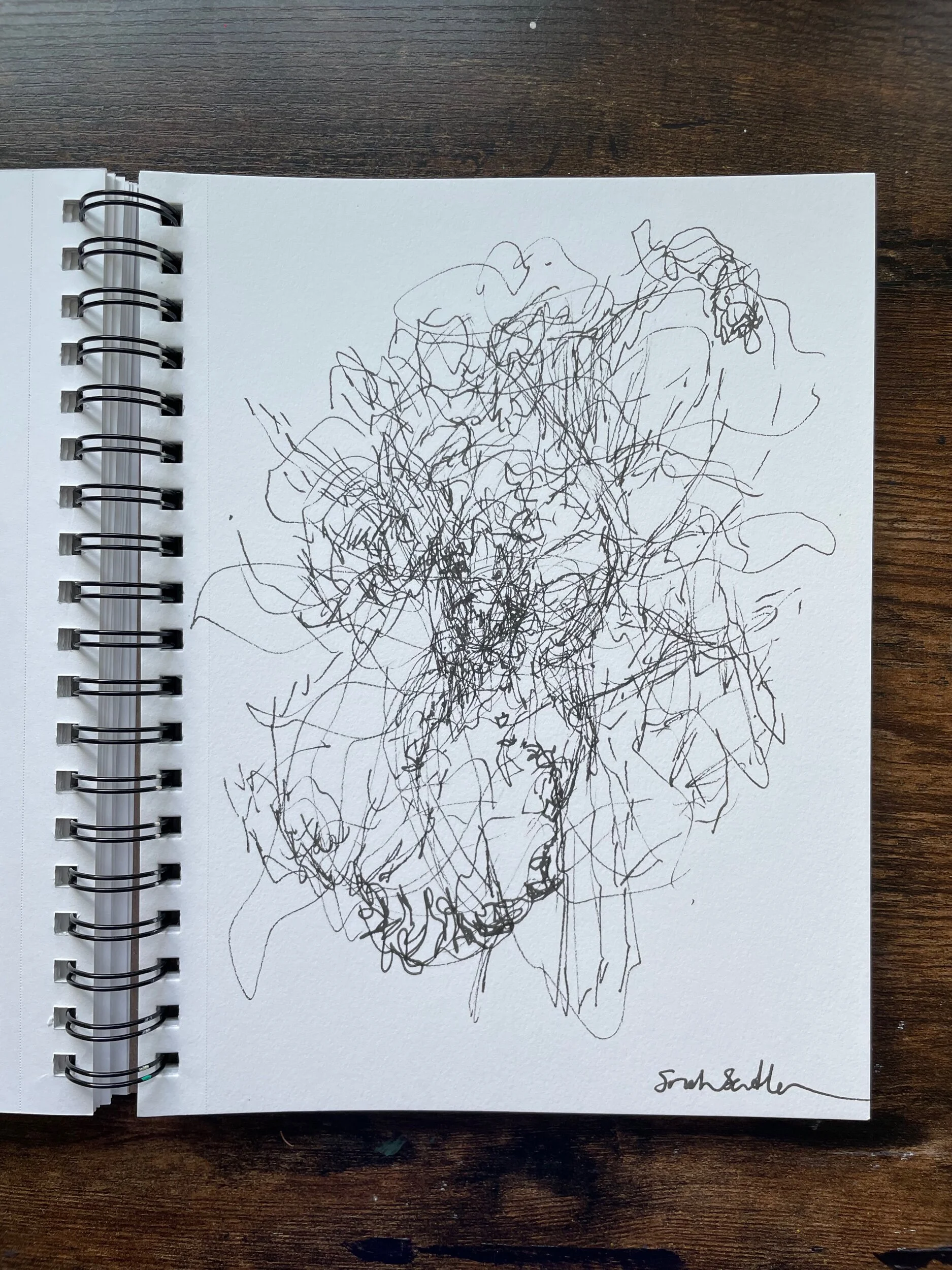 D69E883B-50FB-41B0-B595-1C23E571D92E