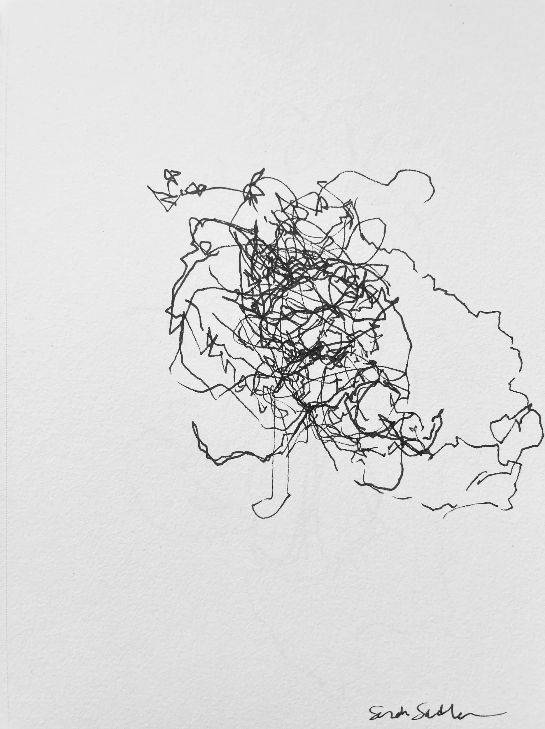 D9F5A5B2-8EF7-462A-B8B4-11344BE0E6D5