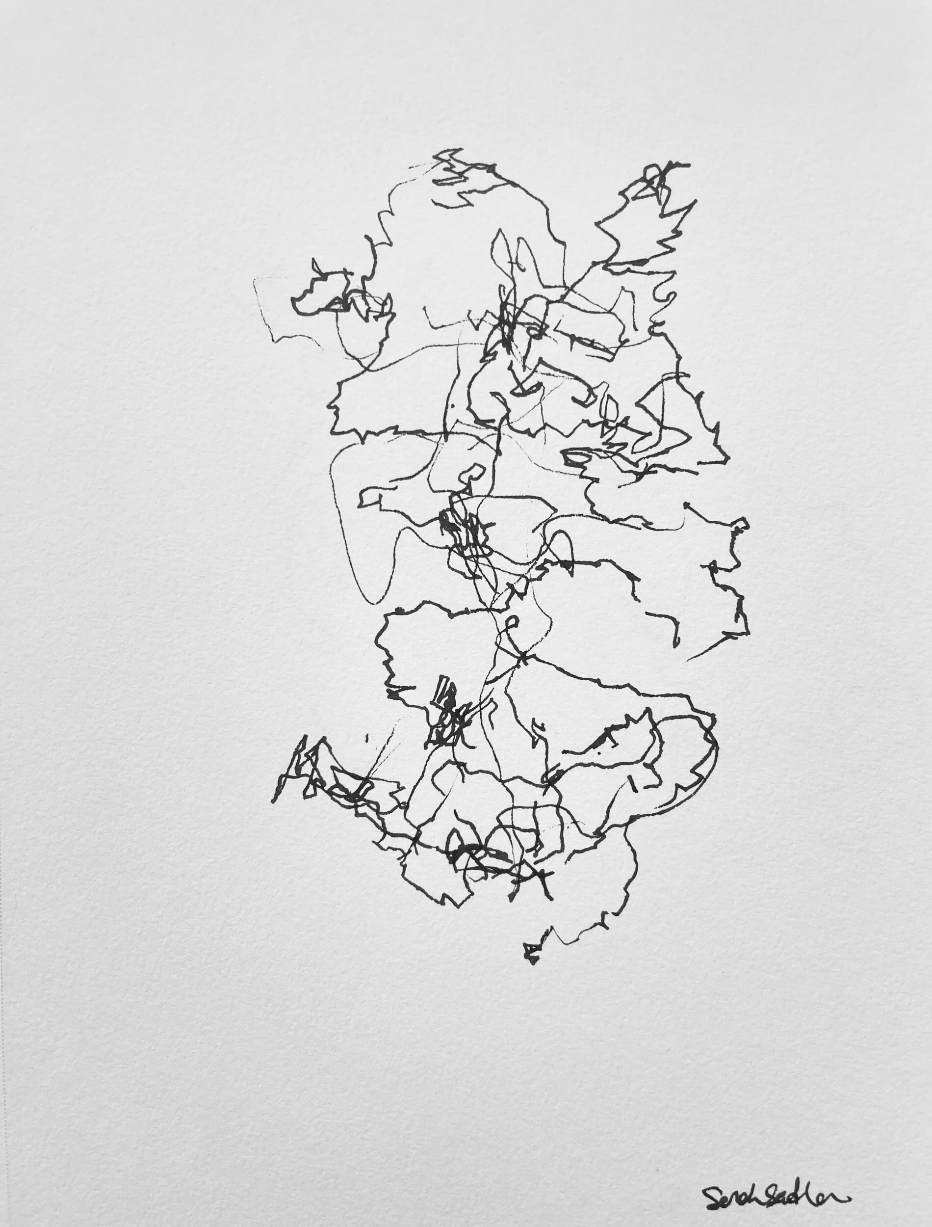 8B0C06E4-0ED7-414E-950D-EA904550ABD5