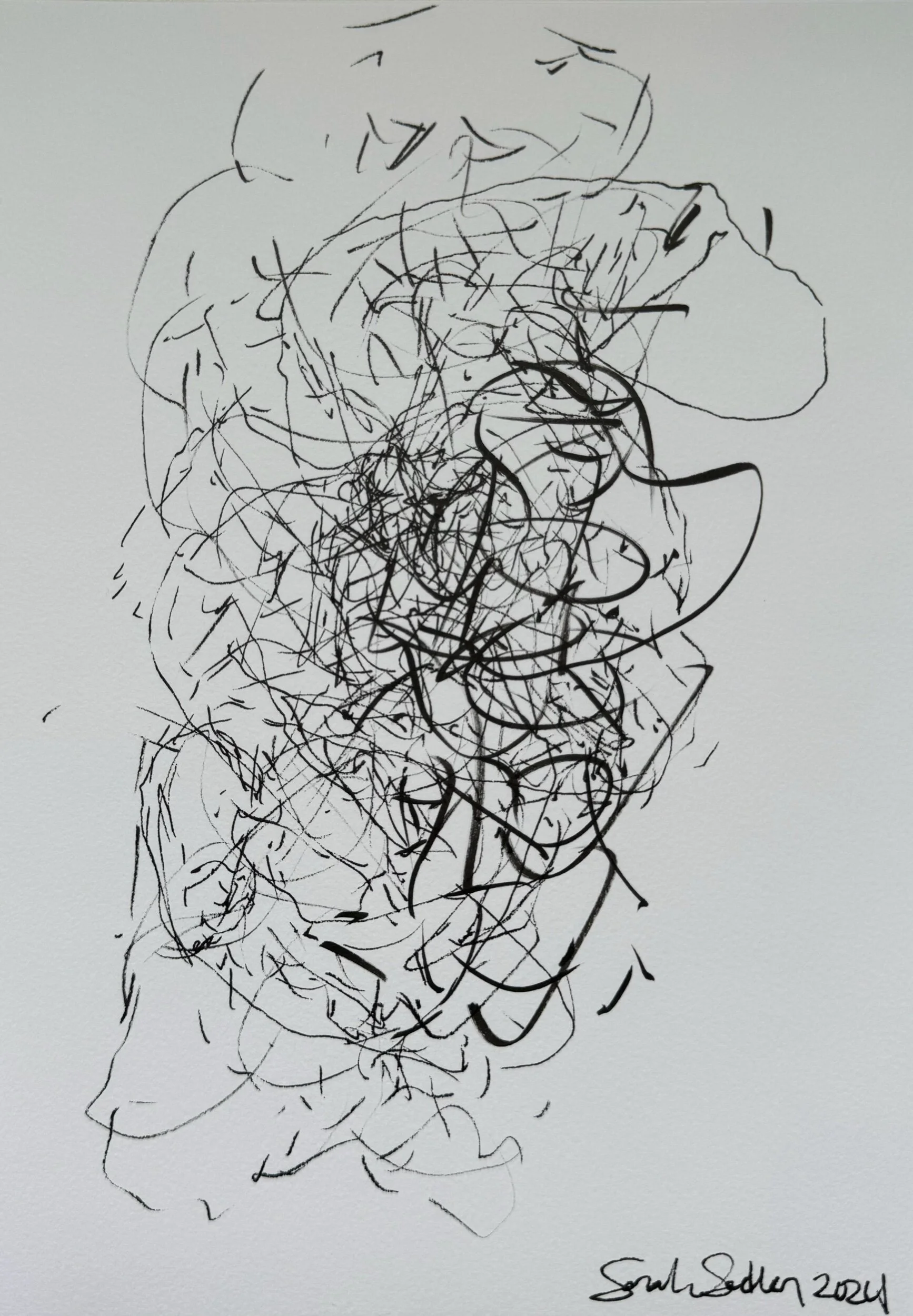 2258B700-4D04-40CF-80D7-3A36EE2C75C3