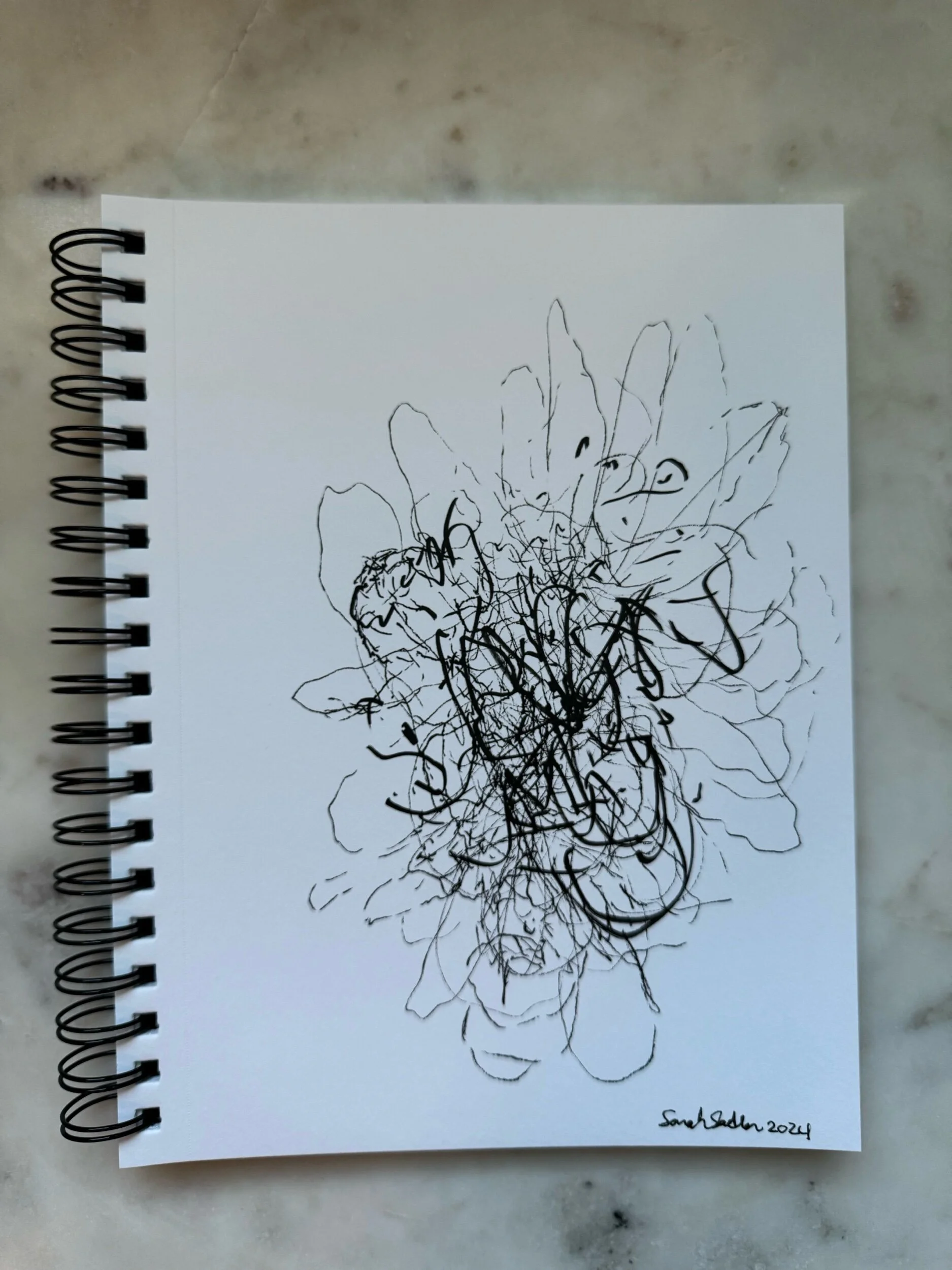 BF63D979-5E89-4F4B-8C46-07F1C55490F5