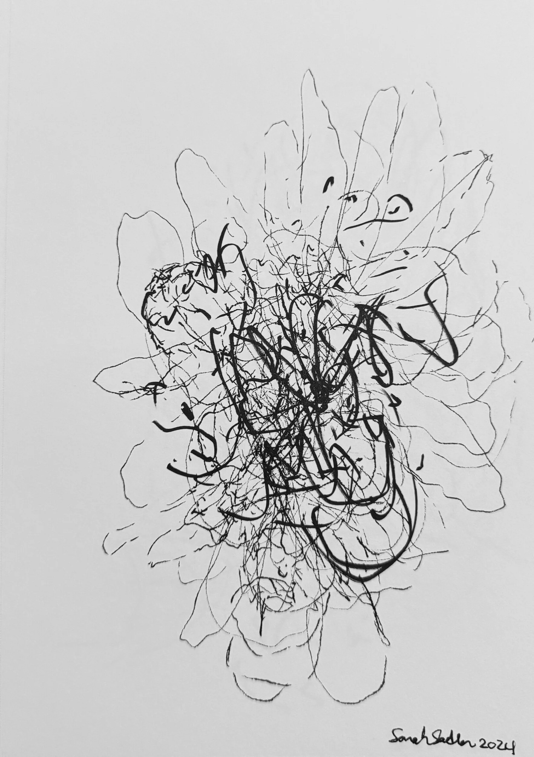 46904300-2941-4CCE-B28F-73C12BE03DDB