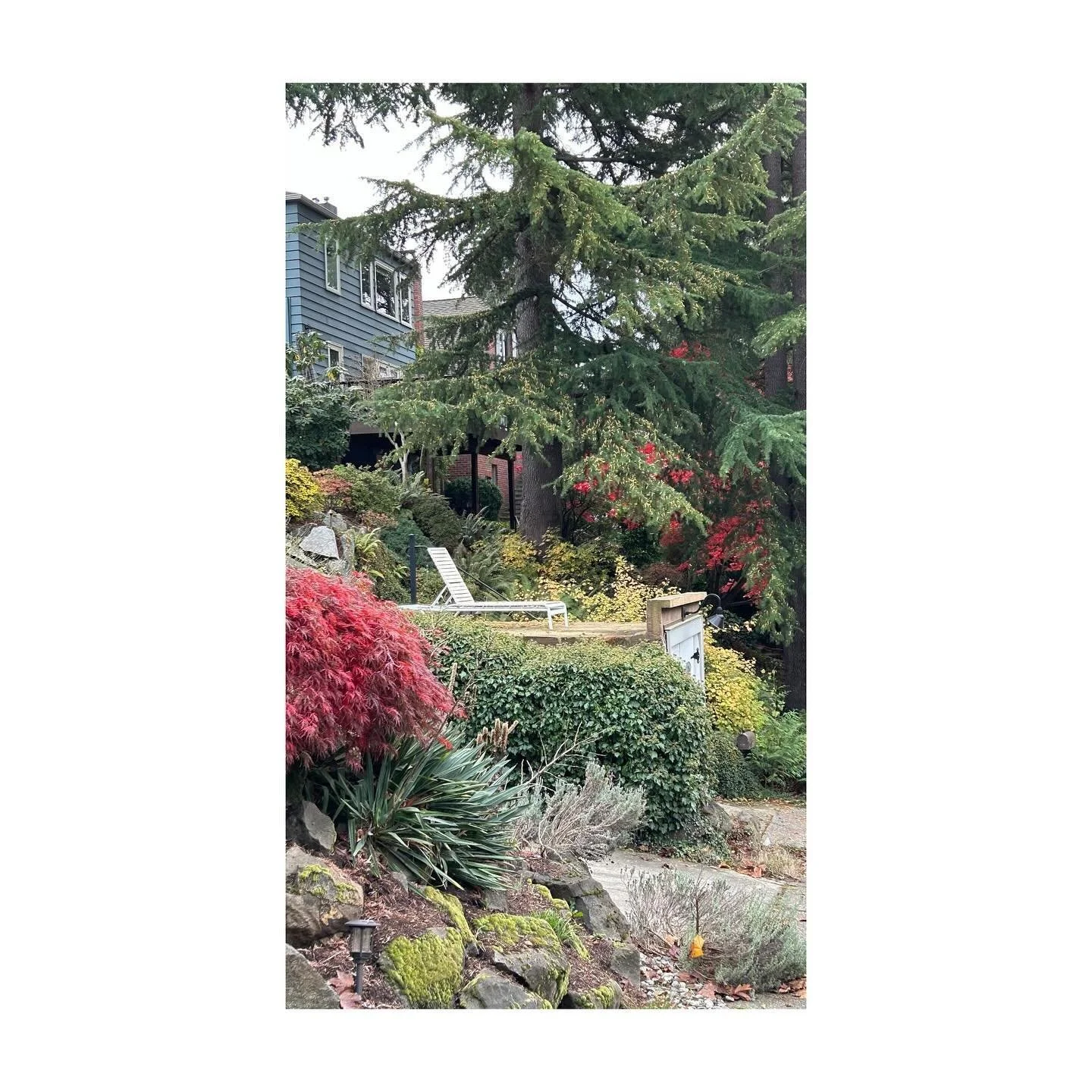 scenes from our new home in Seattle