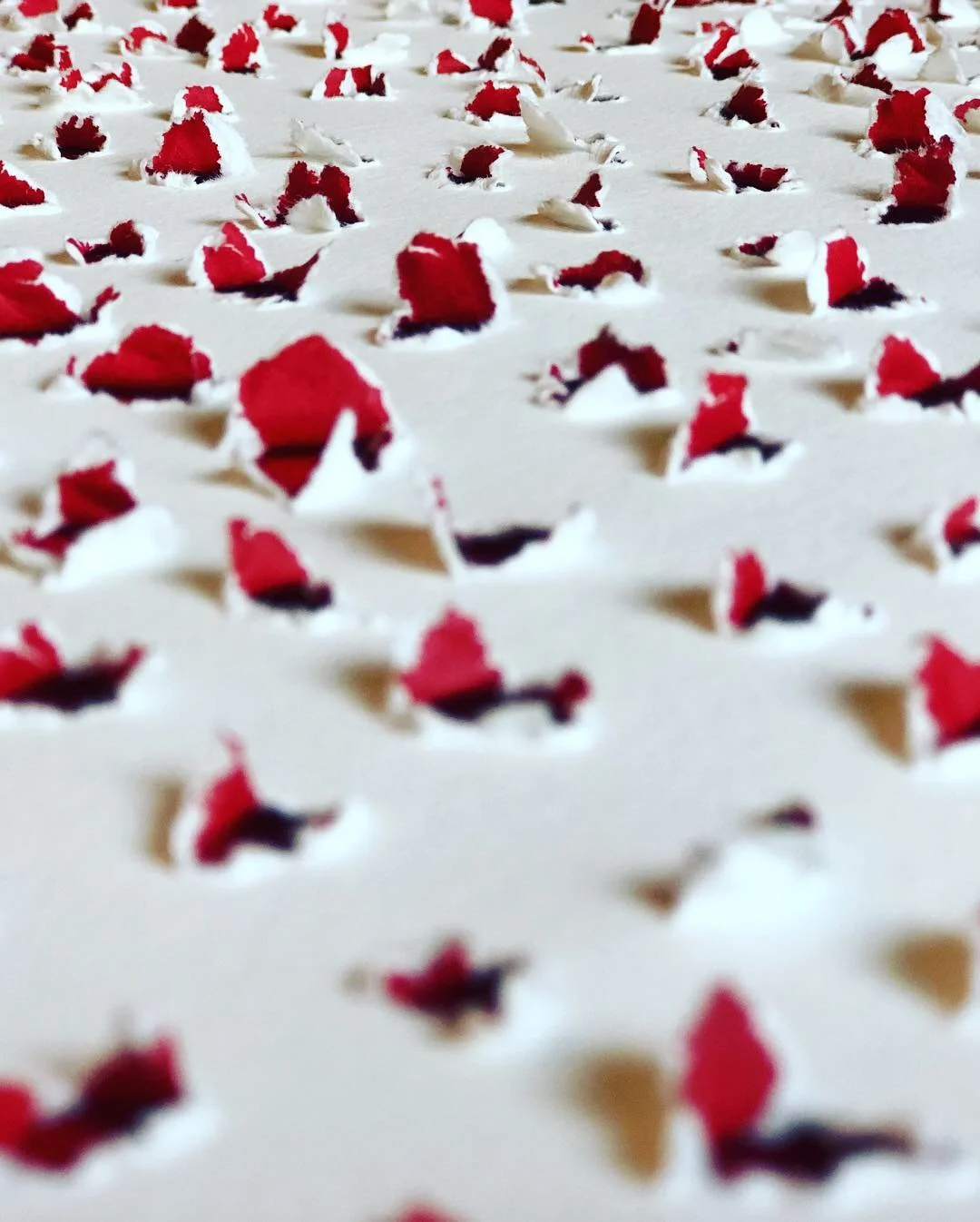 2018-10-31 16.22.02.jpg