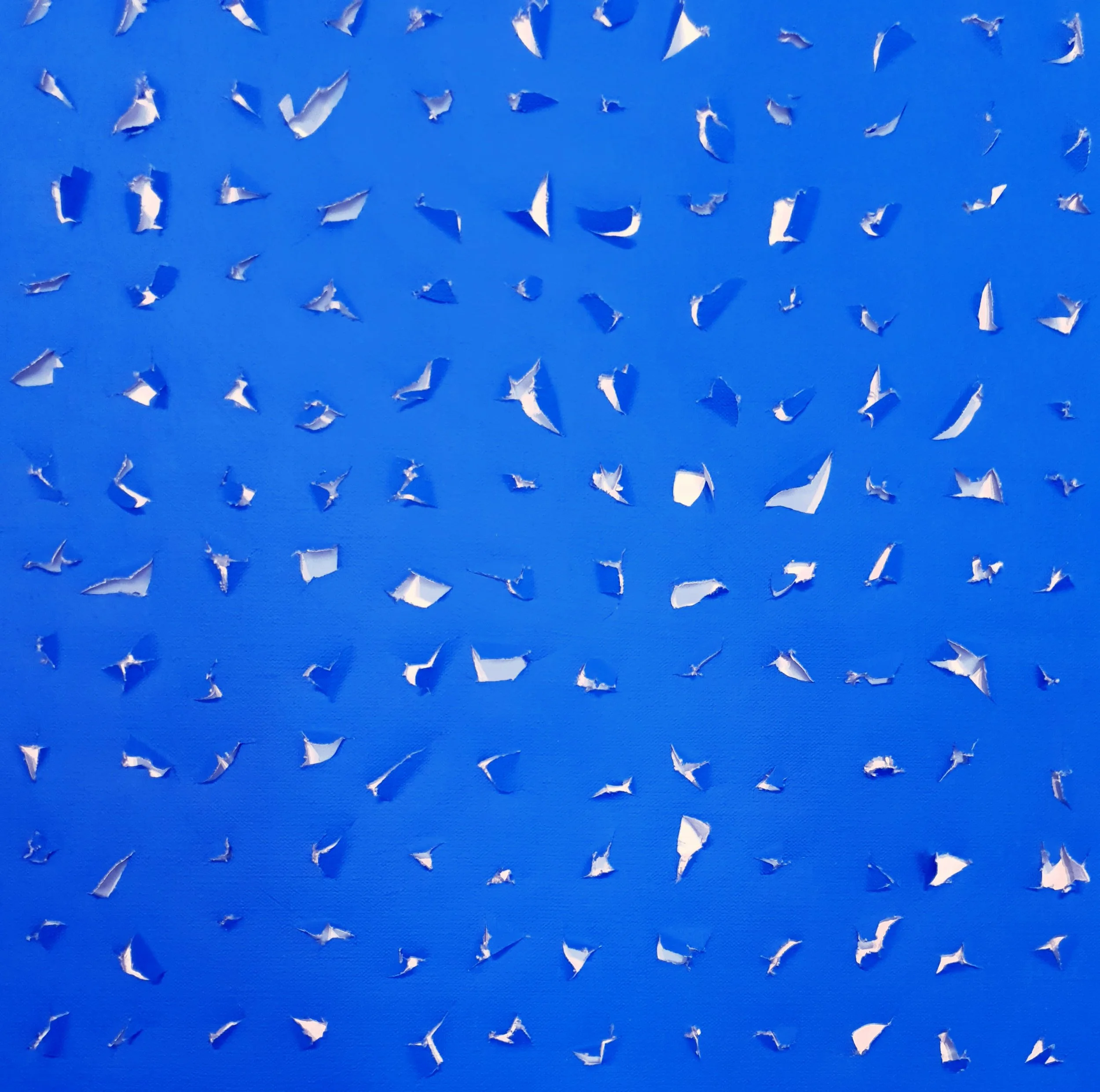 20200328_135522 (1).jpg