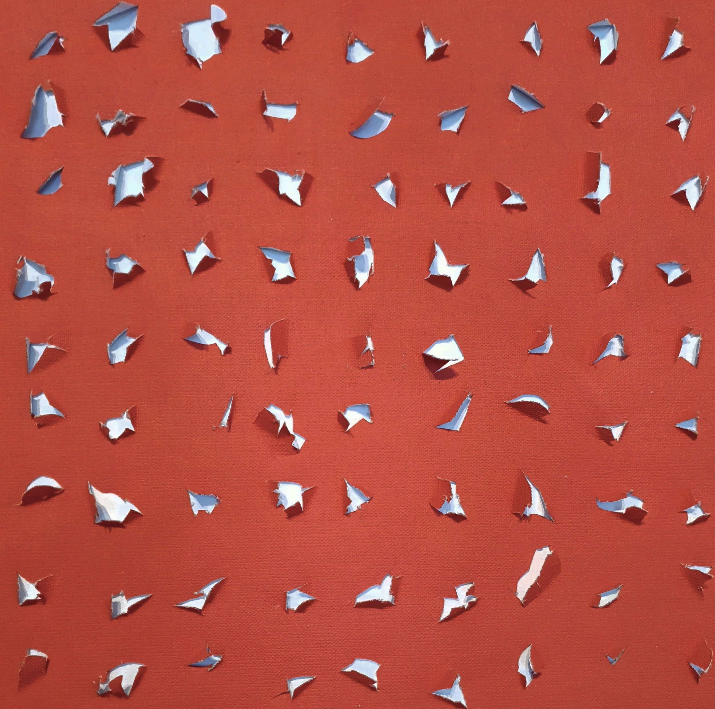 coral white detail.jpg