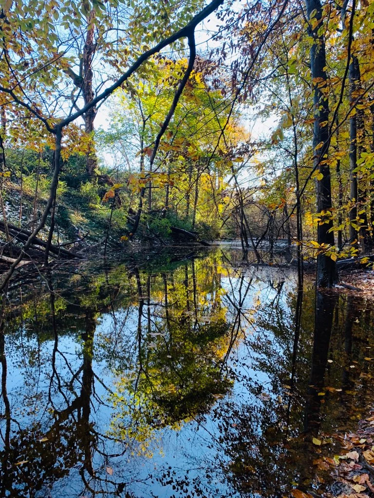 Evolving Mindfully Morning