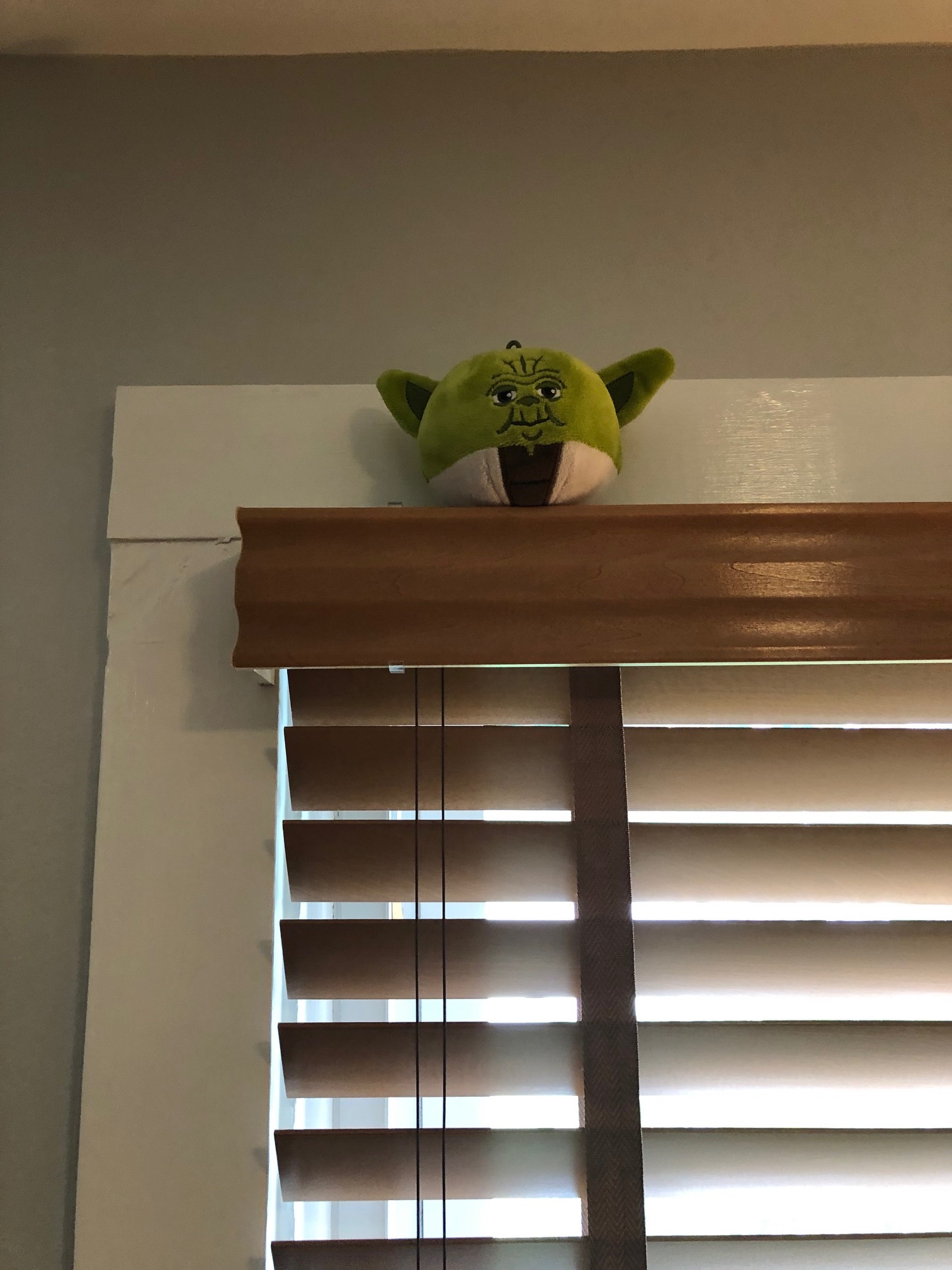 Yoda over a window