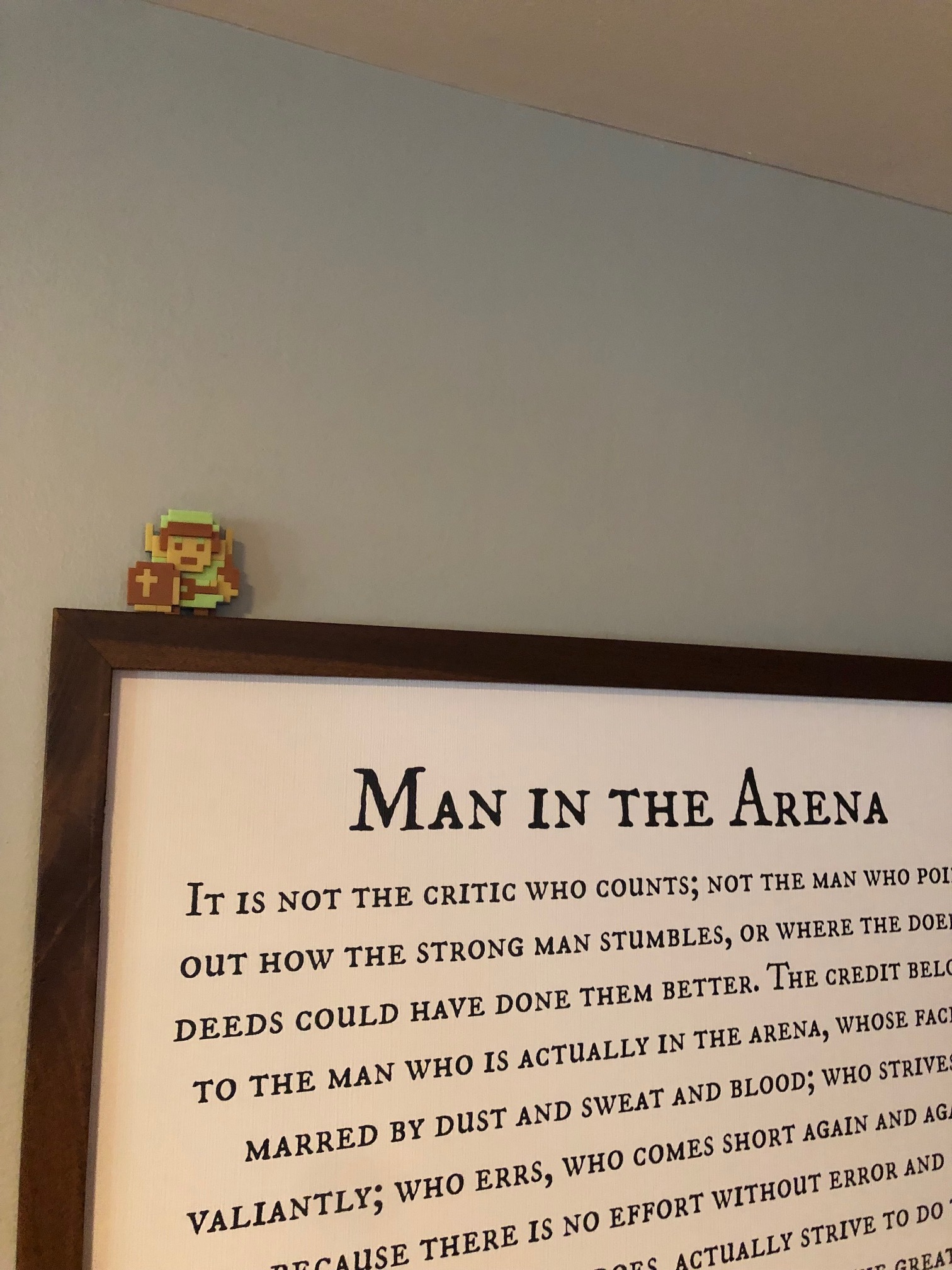 Link is the Man in the Arena