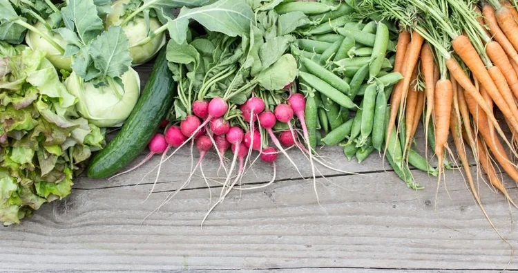 Spring Into Freshness Spring into Freshness: 5 Superfoods to Wake Up Your Plate — Green Lotus ...