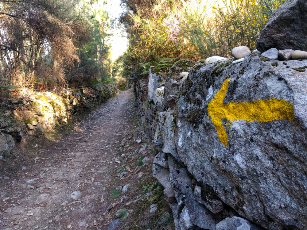 camino portugal rough trail.jpg