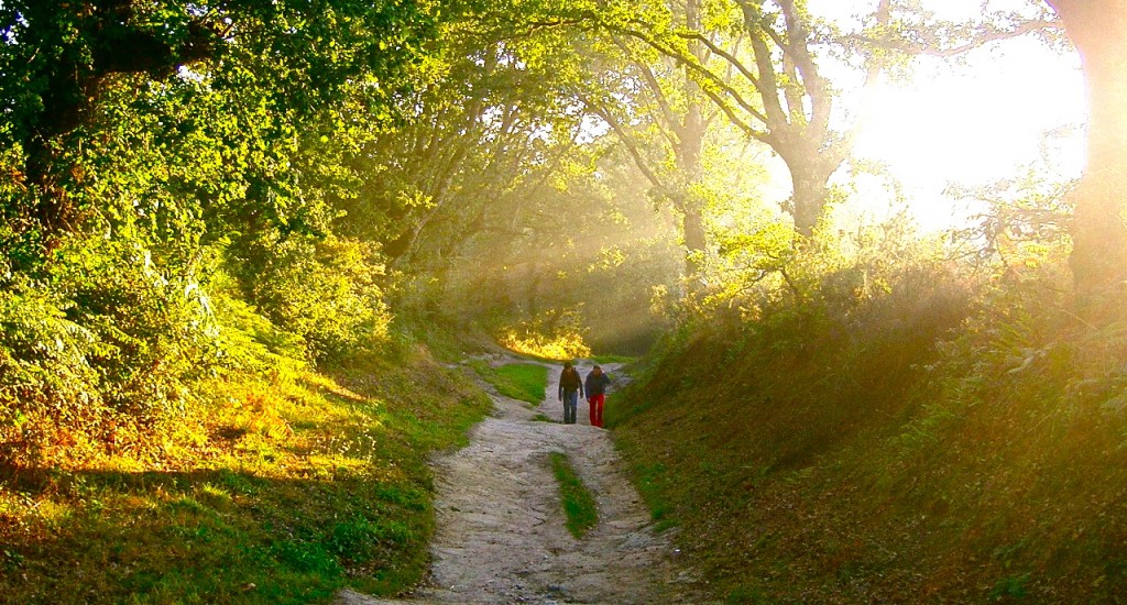 Camino-de-Santiago.jpg