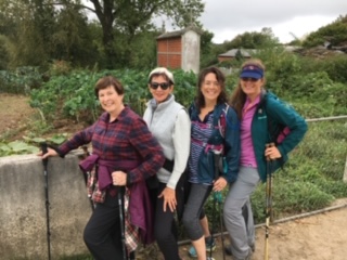 Walking on the Camino