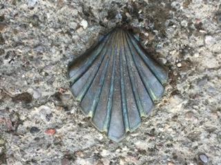 Camino scallop shell